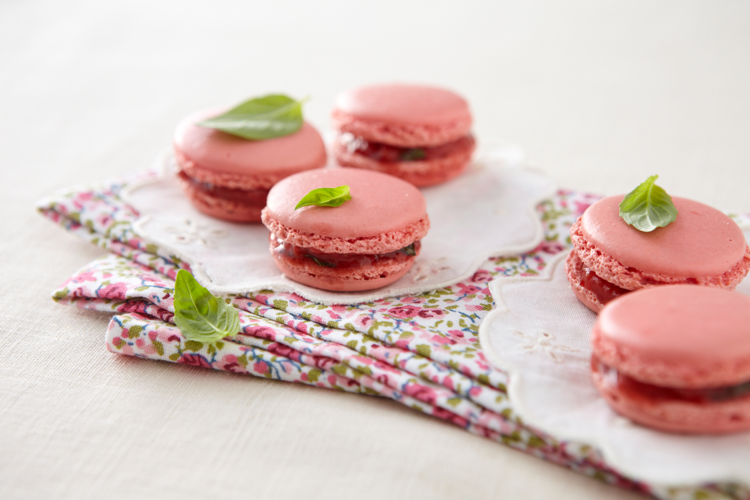 macaron aux fraises