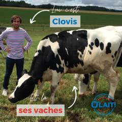 Clovis Ménard dans un pré avec ses deux vaches