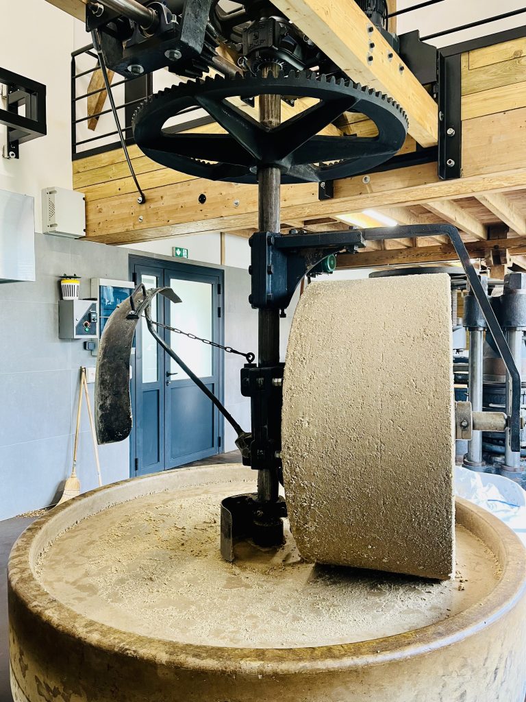 Etape 1 :La meule désigne la roue et la dormante est le support. la meule permet de broyer les noix et noisettes